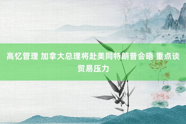 高忆管理 加拿大总理将赴美同特朗普会晤 重点谈贸易压力