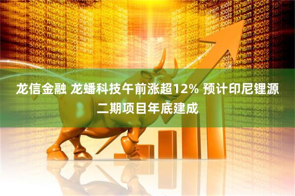 龙信金融 龙蟠科技午前涨超12% 预计印尼锂源二期项目年底建成