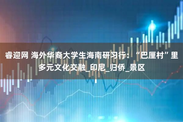 睿迎网 海外华裔大学生海南研习行：“巴厘村”里多元文化交融_印尼_归侨_景区