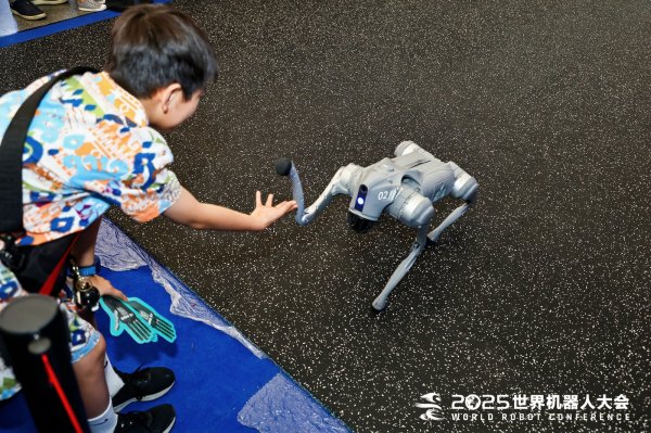 杨帆配资 亿元订单开始涌入，但机器人仅仅靠表演支撑不了这个赛道