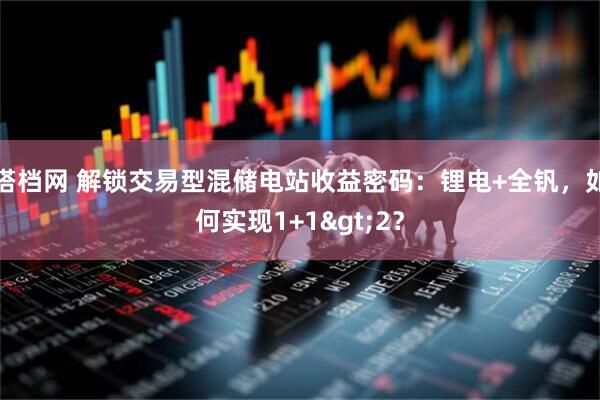 搭档网 解锁交易型混储电站收益密码：锂电+全钒，如何实现1+1>2？
