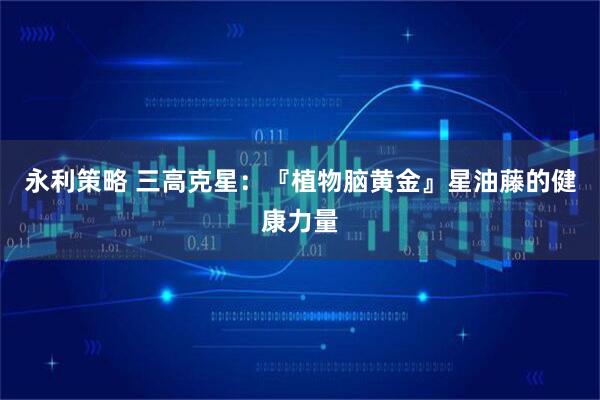 永利策略 三高克星：『植物脑黄金』星油藤的健康力量
